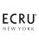 Ecru New York Ambassador Day training