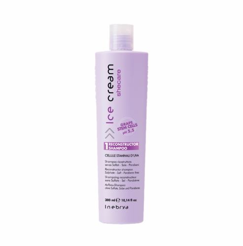 Inebrya SHECARE Ice Cream Reconstructor Shampoo