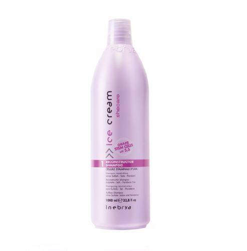 Inebrya SHECARE Ice Cream Reconstructor Shampoo