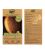 Wet Brush Go Green Palm Detangler Orange-Coconut Oil